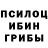 Псилоцибиновые грибы Psilocybe typo chill