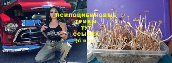 MDMA Premium VHQ Ростов