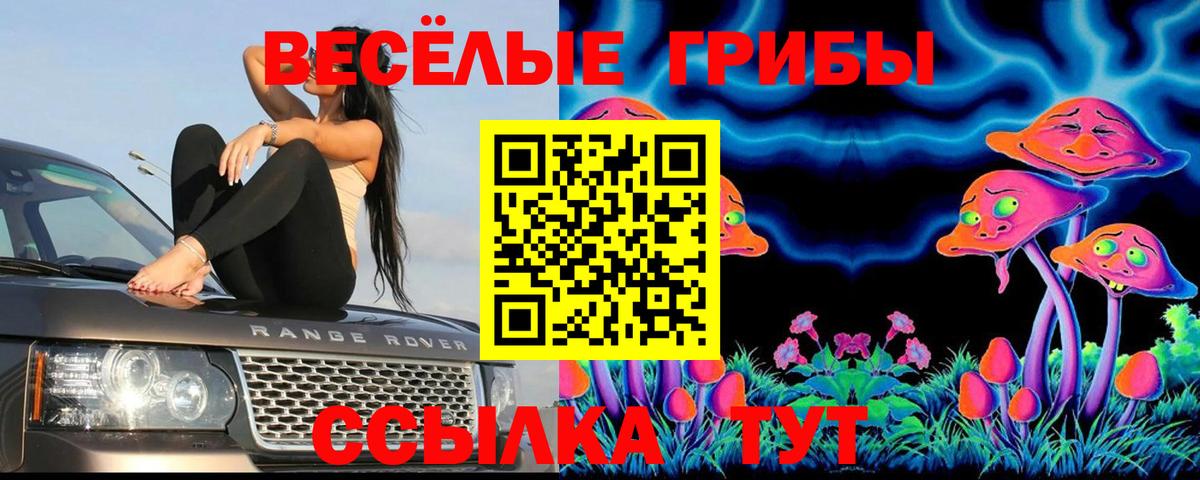 Псилоцибиновые грибы ЛСД  Вход с VPN  Балахна 